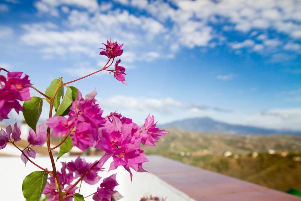 Rooftop Terrace & Panoramic Mountain View'S Villa Cutar Exteriör bild